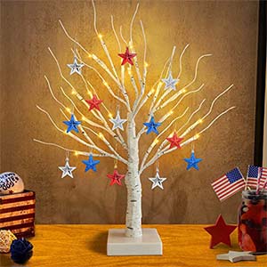 4th of july indoor decorations