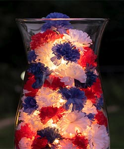 Easy 4th of July crafts for seniors