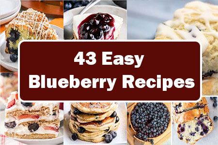 Easy Blueberry Recipes