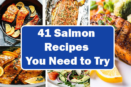 Salmon Recipes