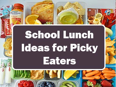 School Lunch Ideas for Picky Eaters