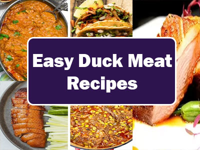 Duck Meat Recipes