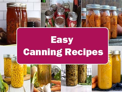 Discover 35 Delicious and Easy Canning Recipes