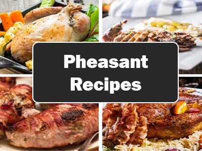 37 Delicious Pheasant Recipes That Are Easy to Make