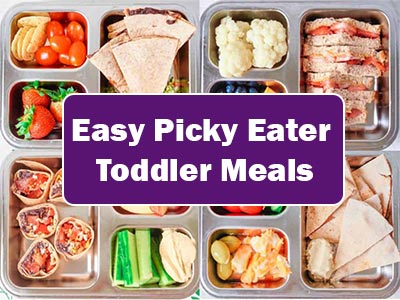 35 Easy Picky Toddler Meals Ideas That Will Keep Them Happy and Healthy